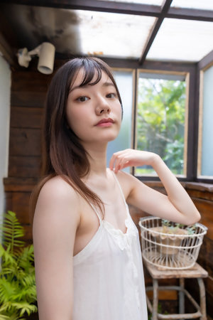 倚天屠龙记全集